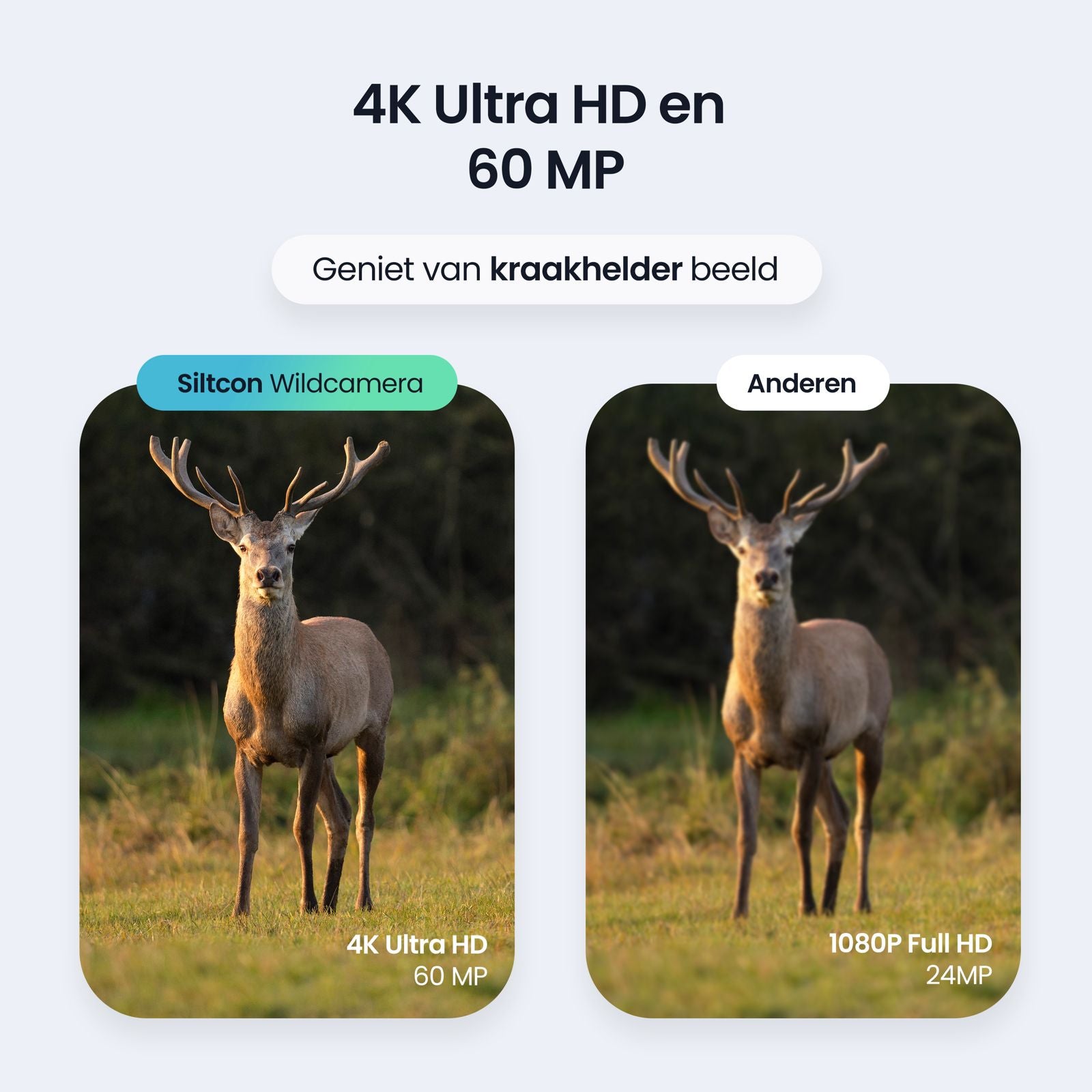 Siltcon Wildcamera Met Nachtzicht en Wifi 128GB - Siltcon